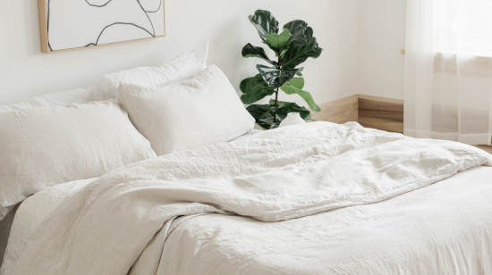 Why We’re Committed to Offering More Affordable Prices